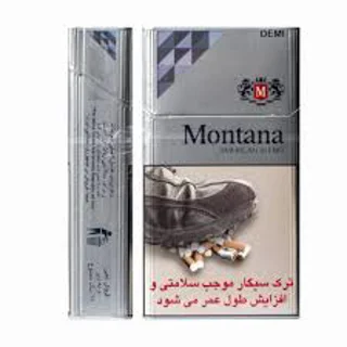 مونتانا دمی