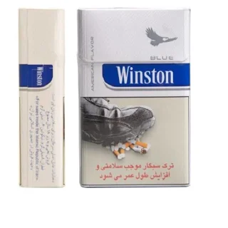 وینستون